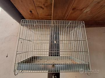 3 gabbiette per uccellini 
