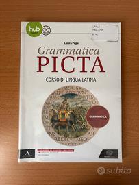 Grammatica picta