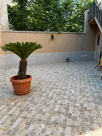 Appartamento con spazio esterno