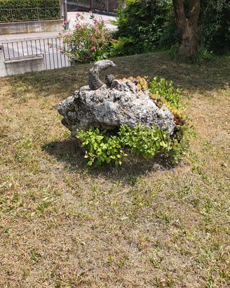 Sasso ornamentale