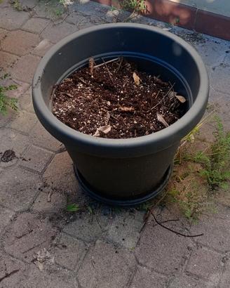 Vaso in vetroresina nero 