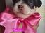 Immagine 4