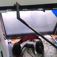 monitor per ricambi  Asus vx238h