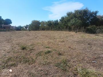 Terreno agricolo