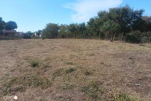 Terreno agricolo