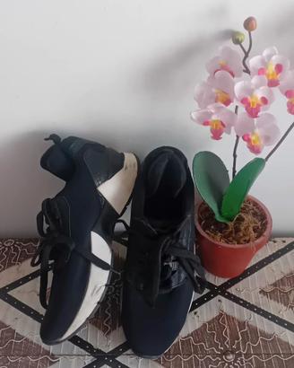 sneackers gio cellini