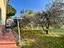 Immagine 20
