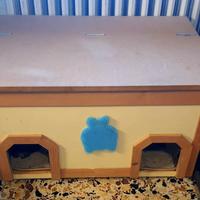 Casetta per gatti