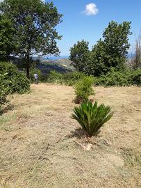 Pianoro super panoramico