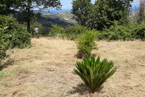 Pianoro super panoramico