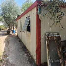 Container 