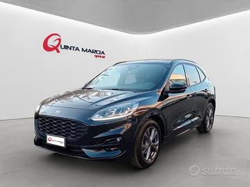 Ford Kuga 1.5 EcoBlue 120 CV aut. 2WD ST-Line Desi