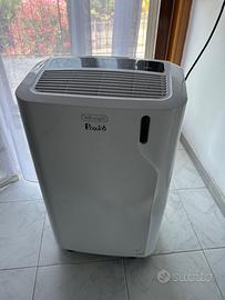 Pinguino climatizzatore