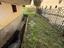Immagine 11