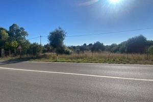 Terreno di 2002 m² a Terrasini