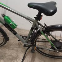 Bici elettrica