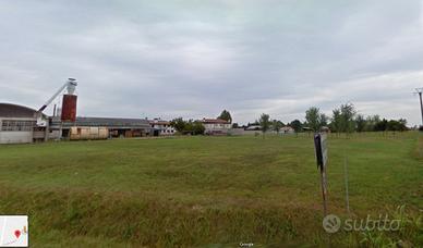 Seminativo a San Giovanni al Natisone