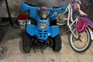 Quad Loncil