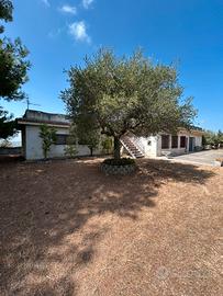 Villa 300mq