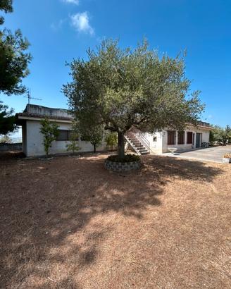 Villa 300mq