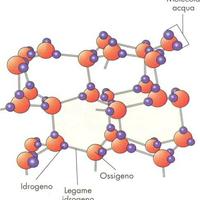 Ripetizioni CHIMICA organica analitica biochimica