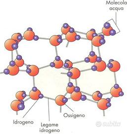 Ripetizioni CHIMICA organica analitica biochimica