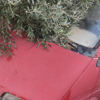 Ford transit anno 89  2500d