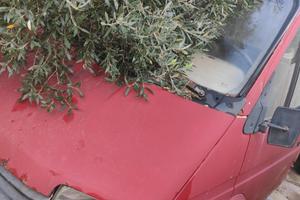 Ford transit anno 89  2500d