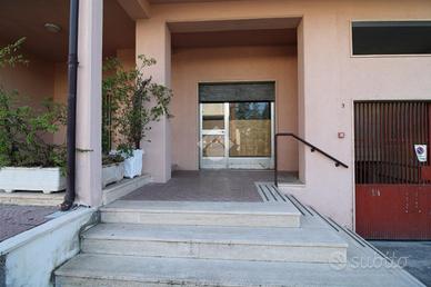 BOX A CAMPOBASSO