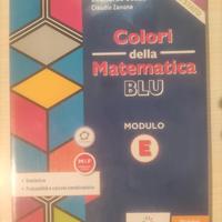 "COLORI DELLA MATEMATICA. EDIZIONE BLU. MODULO E.