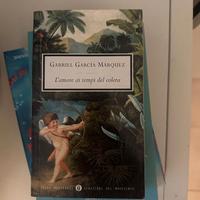 L'amore ai tempi del colera Gabriel Garcia Marquez