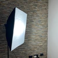 Due luci softbox Hakutaz