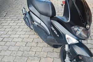 Runner sp 50 anno 2011