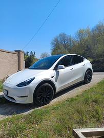 MODEL Y PERFORMANCE 
