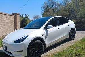 MODEL Y PERFORMANCE 