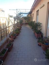 Attico 5 vani con terrazzo in zona Villa Sperlinga