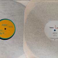 Secondo Lotto di 10 Vinili minimal tech house