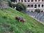 Immagine 5