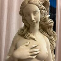 Venere di botticelli ,statua in gesso