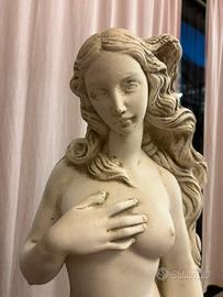 Venere di botticelli ,statua in gesso
