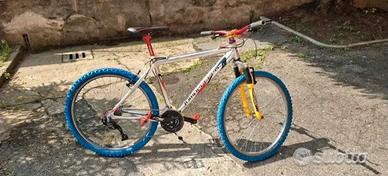 bici da uomo