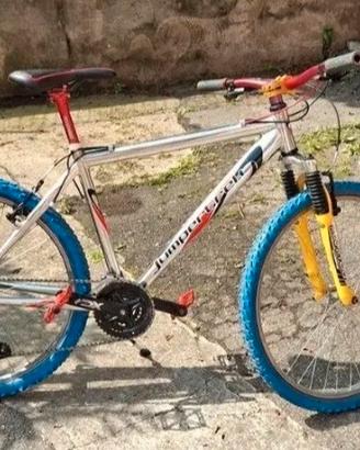 bici da uomo