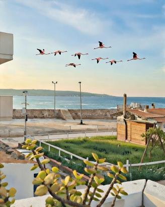 Casa campisi a 100 mt dal mare marzamemi