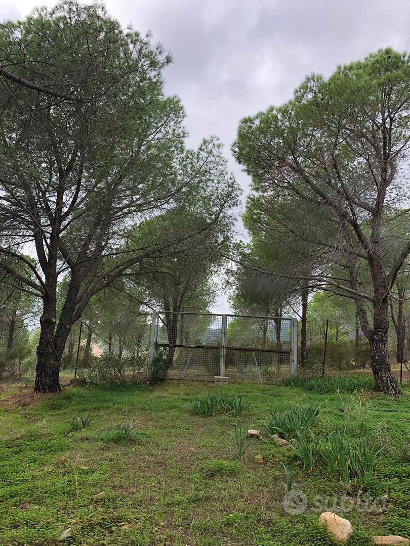 Terreno turistico-alberghiero - Vista 3
