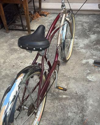 Bicicletta da passeggio