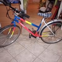 Mountain bike donna