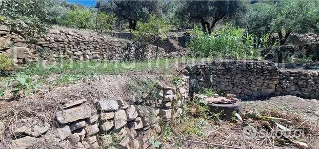 Terreno 10.000mq con rustici a Calatabiano - Vista 2
