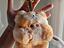 Immagine 1