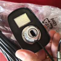 Antenna auto shark tale universale