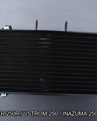 Radiatore SUZUKI GSX 250R VSTROM INAZUMA 250 2013